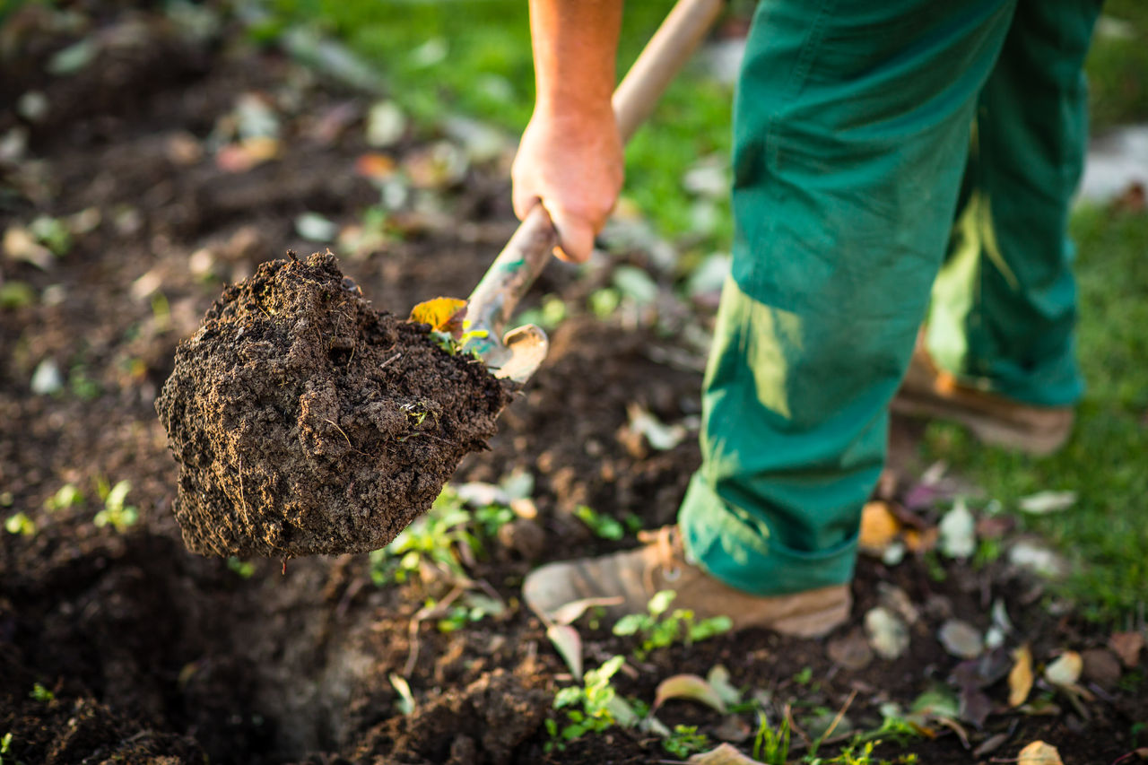 Gardening - man digging the garden soil with a spud (shallow DOF; selective focus),Gardening - man digging the garden soil with a spud (shallow DOF