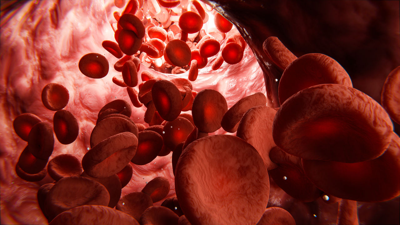 Blut - rote Blutkörperchen oder Blutzellen in Ader - Konzept Herz-Kreislauf oder Blutkreislauf,Blut - rote Blutkörperchen oder Blutzellen in Ader - Konzept He