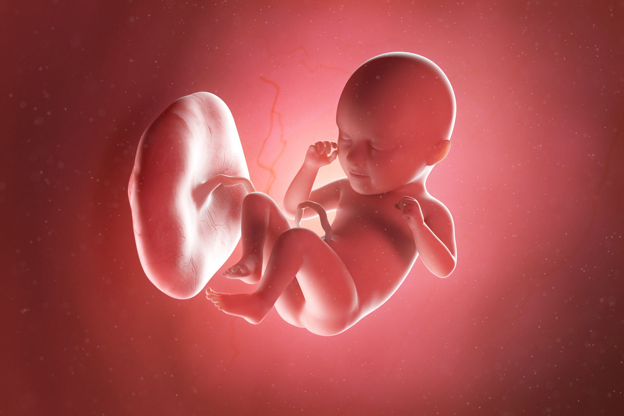 3d rendered medically accurate illustration of a fetus at week 35,3d rendered medically accurate illustration of a fetus at week 3