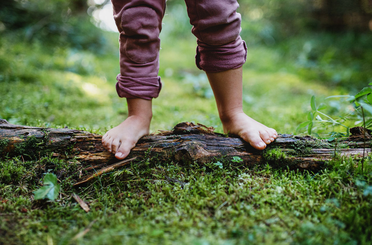 Bare feet of small child standing barefoot outdoors in nature, grounding concept.,Bare feet of small child standing barefoot outdoors in nature, g