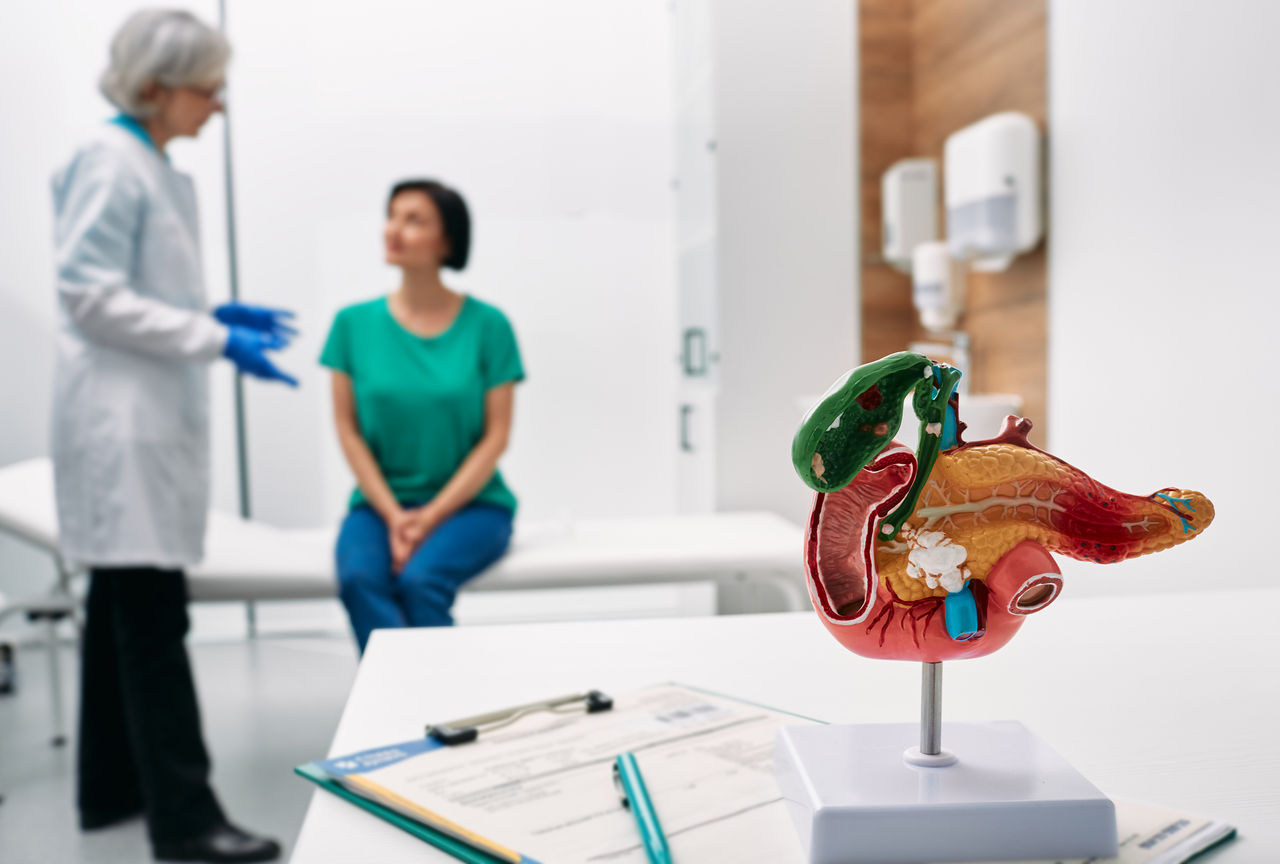 Gastroenterology consultation. Anatomical model of pancreas on doctor table over background gastroenterologist consulting woman patient with gastrointestinal disorders,Gastroenterology consultation. Anatomical model of pancreas on d