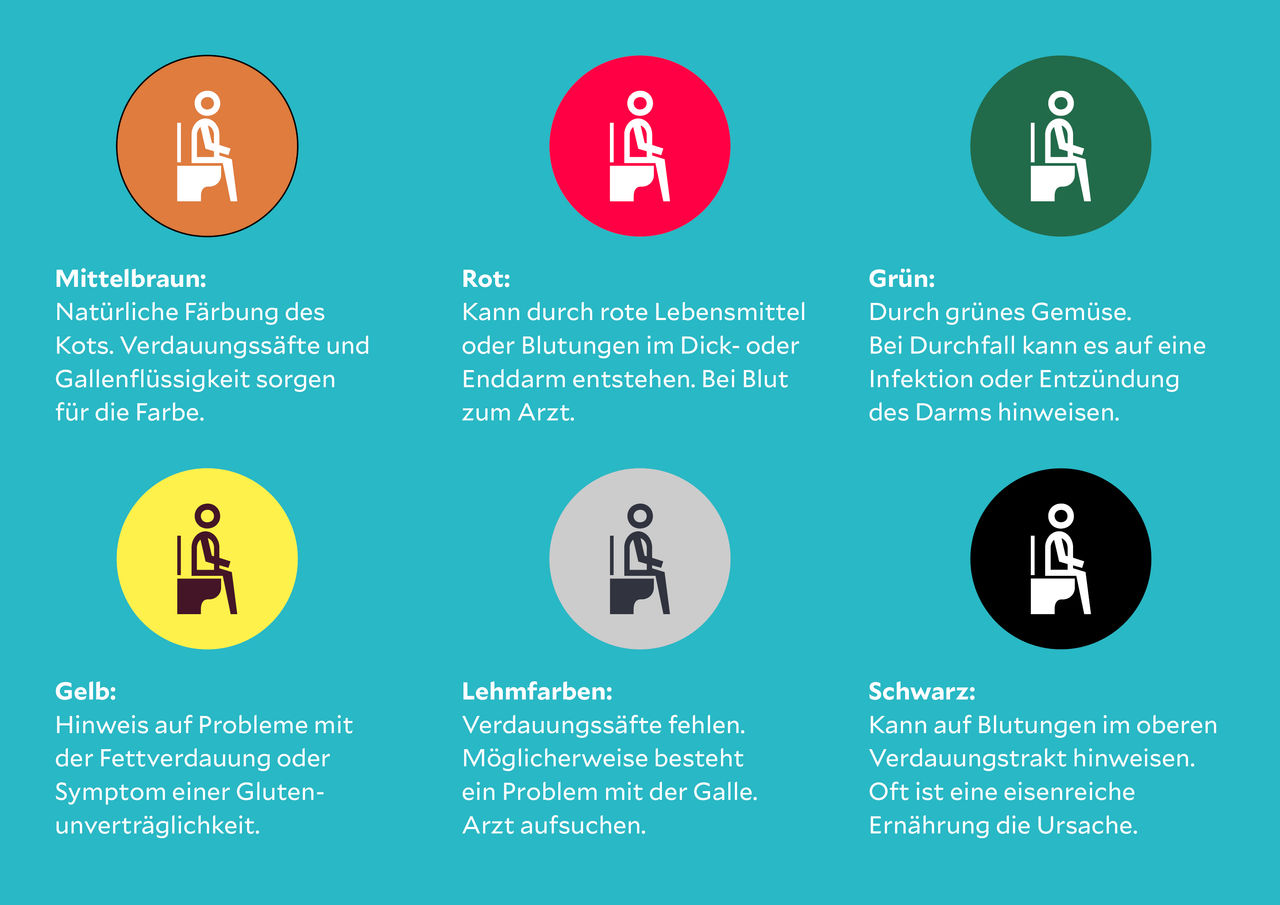 Blut im Stuhl der Experte klärt auf