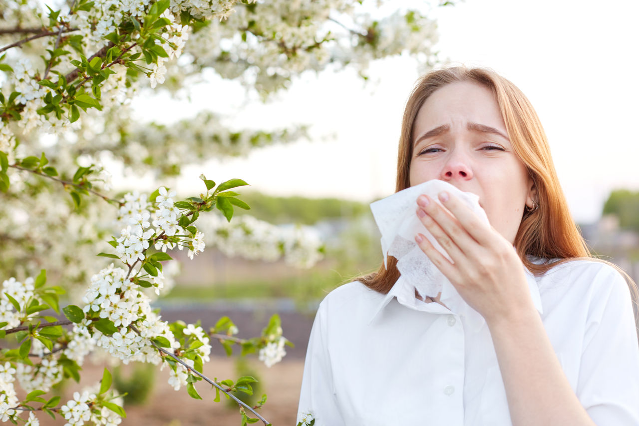 Outdoor shot of displeased Caucasian woman feels allergy, holds white tissuue, stands near tree with blossom, feels unwell, sneezes all time. People and health problems. Spring time. Blooming,Outdoor shot of displeased Caucasian woman feels allergy, holds 