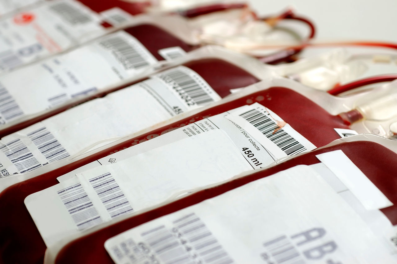 Lebensrettende Bluttransfusion – der Weg vom Blutdepot zum Empfänger