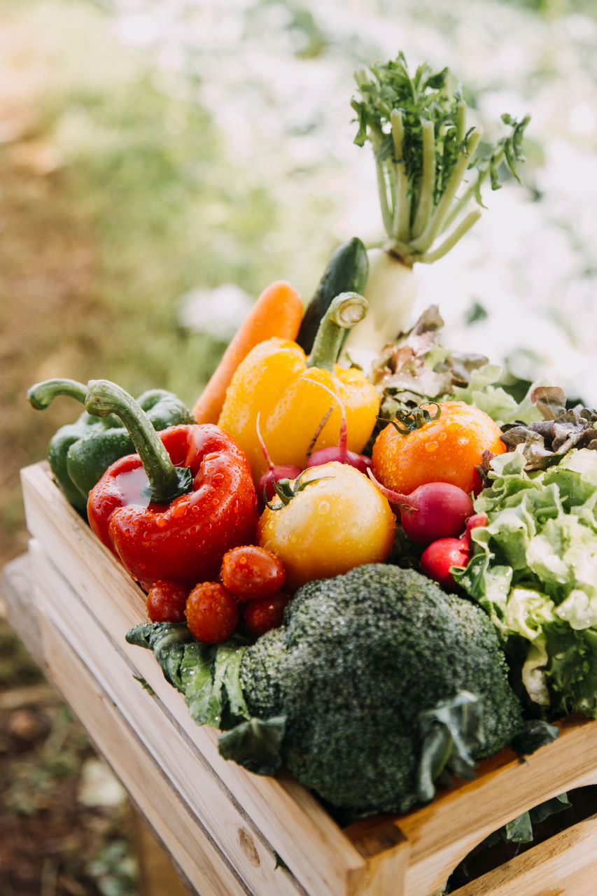 Stoffwechselerkrankungen