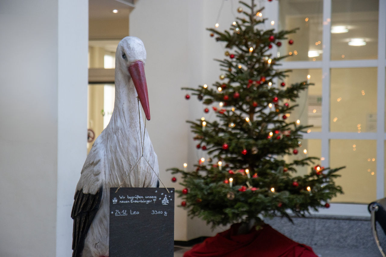 Weihnachtsbaby im Helios Klinikum Aue