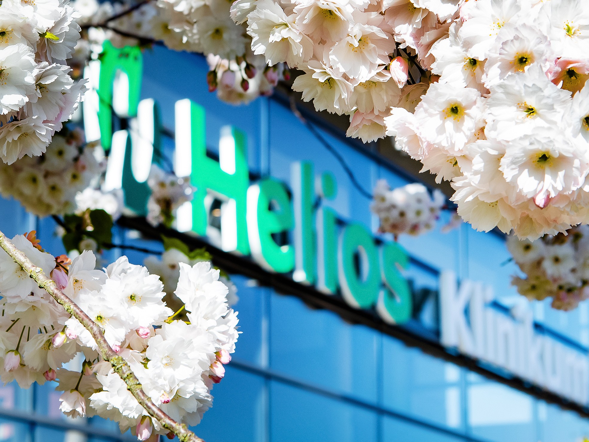 Qualität entscheidet: Helios Kliniken im Cluster Berlin- Brandenburg liefern medizinische Spitzenergebnisse