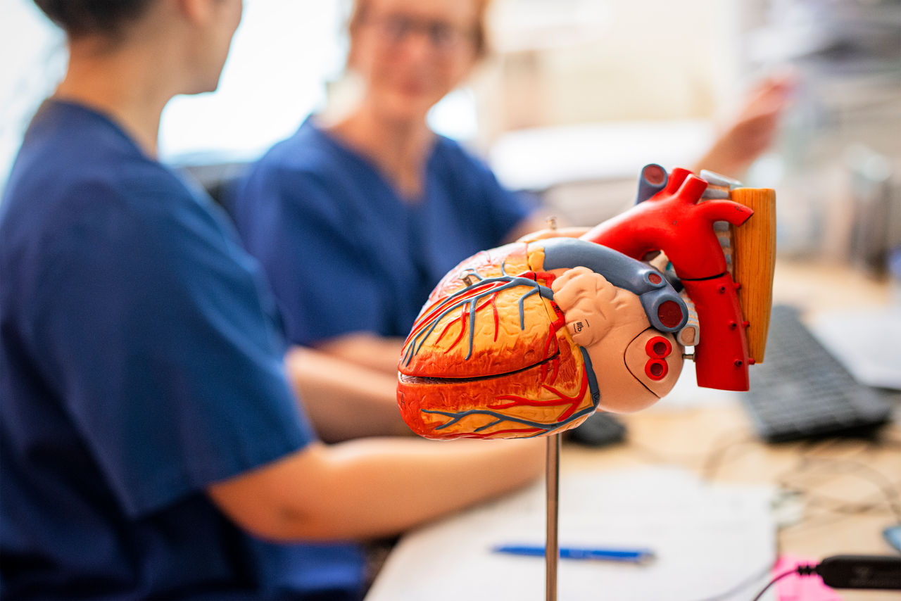 Interventioneller Vorhofohrverschluss bei Risikopatienten