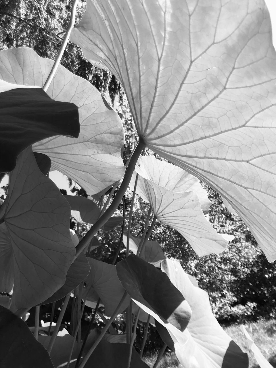 Vernissage zum Fotoprojekt „Sehnsuchtsorte“ 