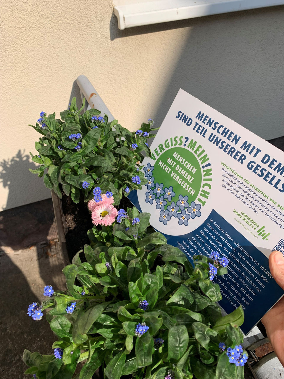 Geriatrie der Helios Klinik Leisnig setzt mit Aktionstag ein starkes Zeichen für Menschen mit Demenz 