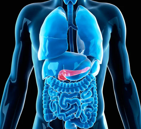 Welt-Pankreaskrebstag 