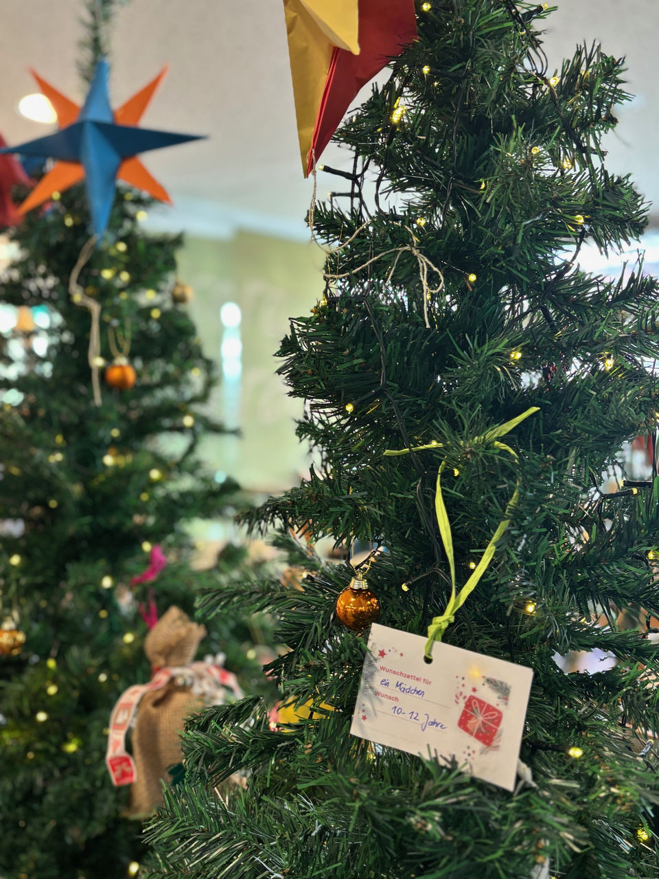Wunschweihnachtsbaum in der Helios Bördeklinik aufgestellt