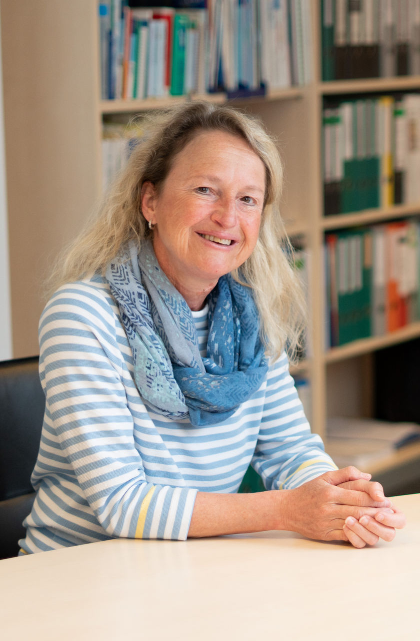 Eine Prothese für die kaputte Bandscheibe