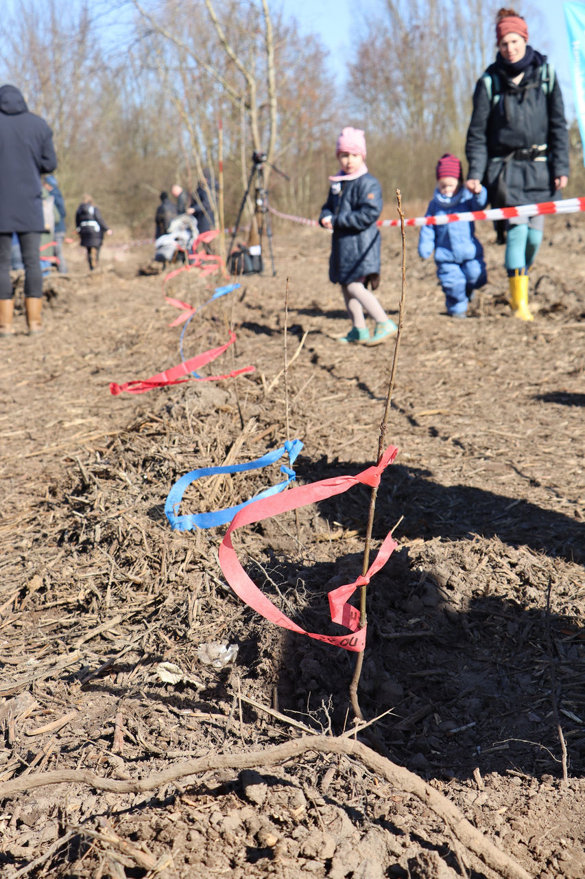 Hunderte Eltern pflanzen Bäume für ihre Kinder