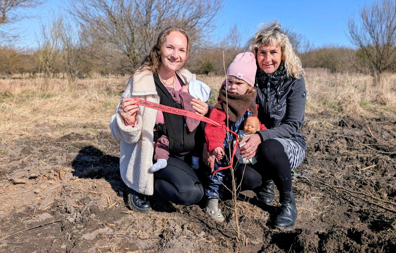 Hunderte begeisterte Eltern pflanzen Bäume zum Start ins Leben