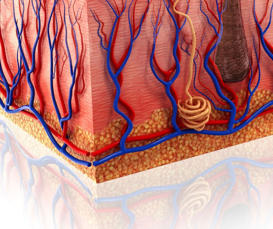 Gewebespende ist keine Organspende. Aber eine genauso wichtige Entscheidung!