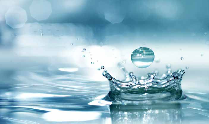 05.03.2025: Onkologie für  Hausärzt:innen – der Harntrakt