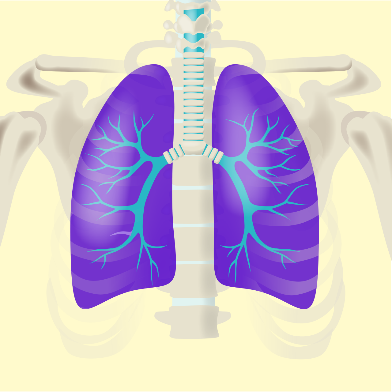 Illustration - Kategorien - Gesundeitsmagazin