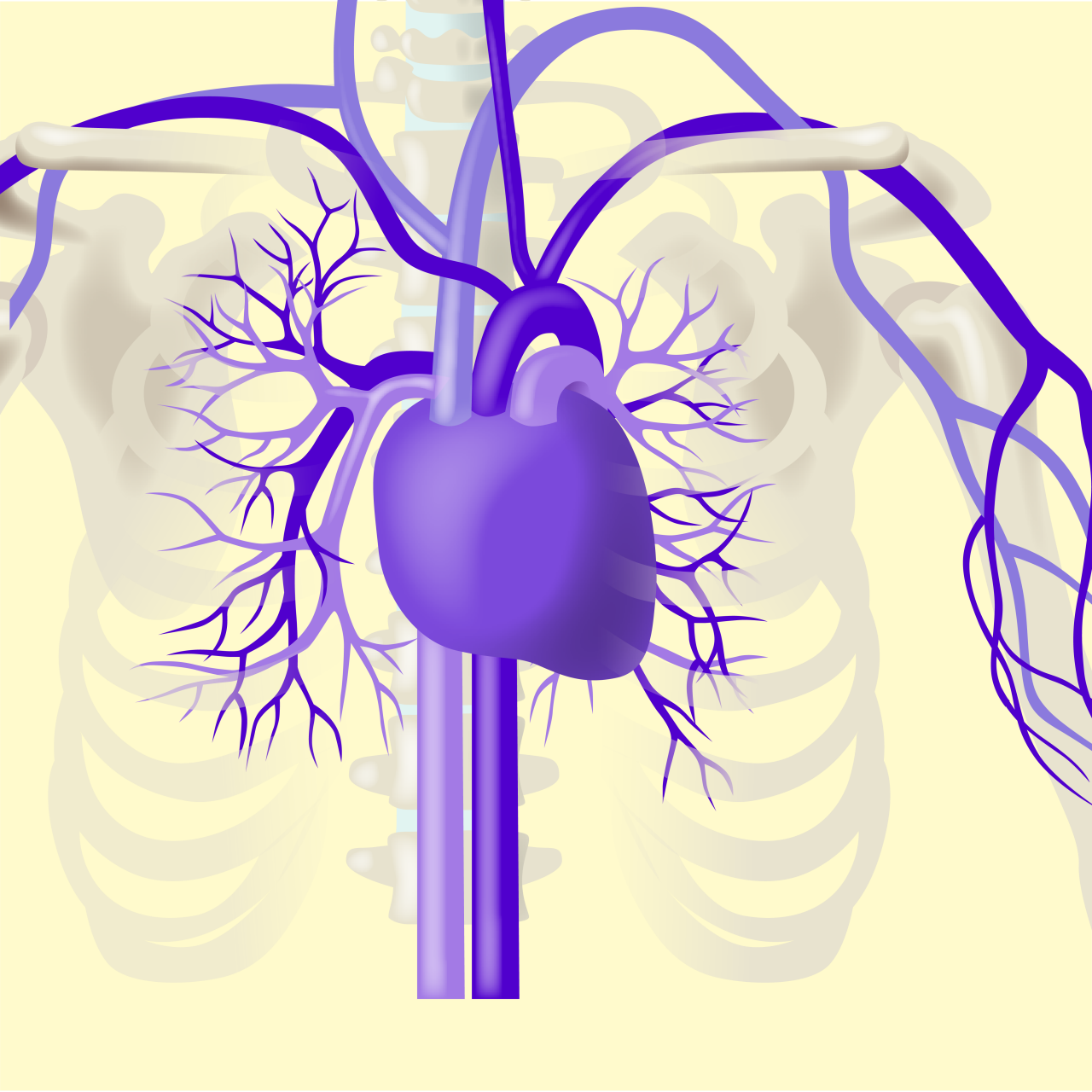 Illustration - Kategorien - Gesundeitsmagazin