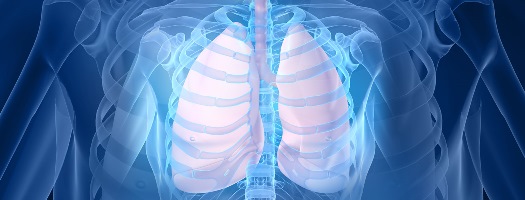 Brustkorb und Lunge schonend operieren
