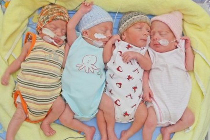 Quadruplets lie close together in the incubator in the intensive care unit for newborns.