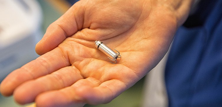 Der kleinste Herzschrittmacher der Welt ist kleiner als eine Handfläche