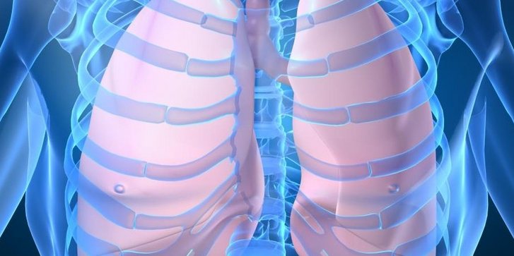 Grafik Körper Lunge