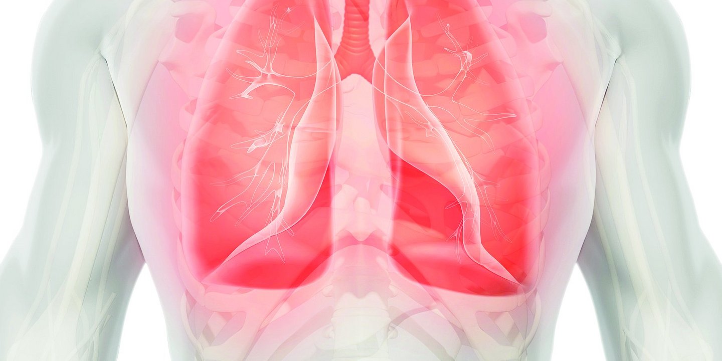 Wenn die Luft wegbleibt – Lungenerkrankungen erkennen und behandeln