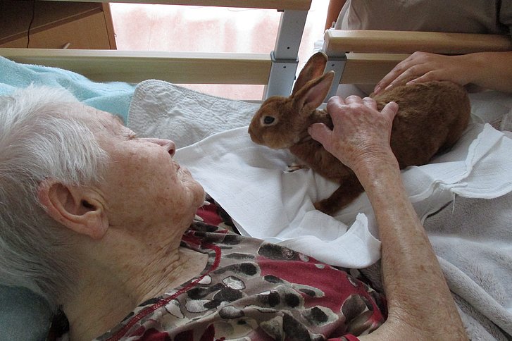 Ältere Dame streichelt einen Hasen im Hospitz