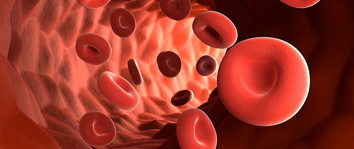 Was das Blut über Ihre Gesundheit verrät