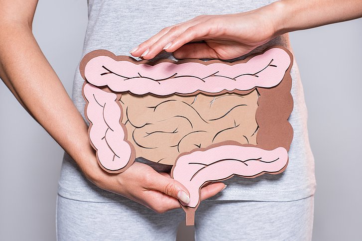 Der Darm: unser unterschätztes Organ