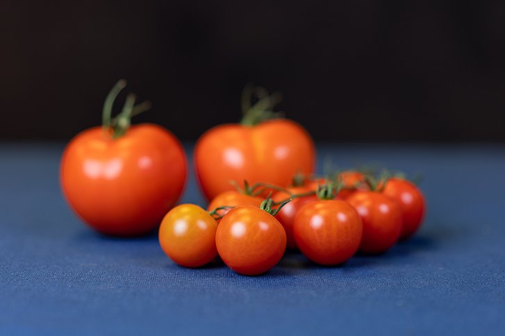 Rote Tomaten in unterschiedlichen Größen