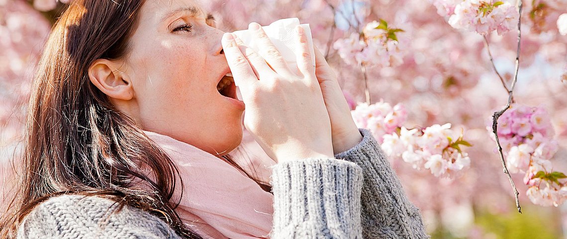 Das große Niesen: Wenn die Allergie zuschlägt     
