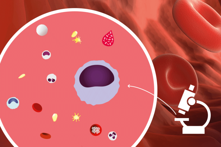 grafische Darstellung eines Mikroskops sowie Ansicht einer Petrischale mit Blutbestandteilen