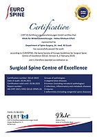 Surgical Spine Centre of Excellence