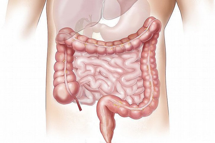 Gastroenterologie/Stoffwechselerkrankungen