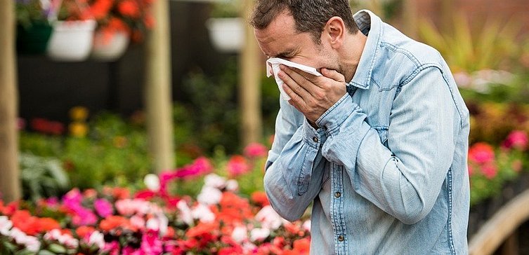 Mann niest im Blumengeschäft