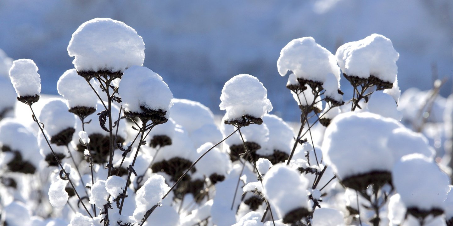 Fit durch den Winter – Tipps für die kalte Jahreszeit