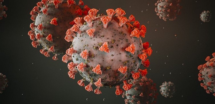 Abbildung Corona-Virus | Foto: Canva